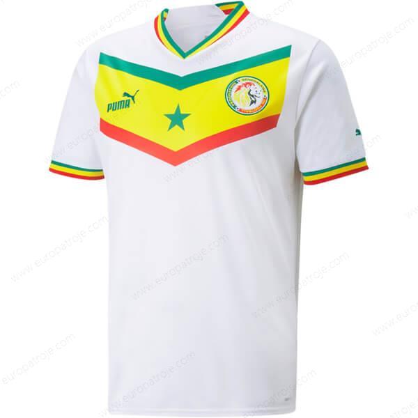 Senegal Home Fodboldtrøjer 2022